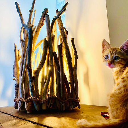 Le Stanze Del Brigante Bed & Breakfast Cenova Dış mekan fotoğraf